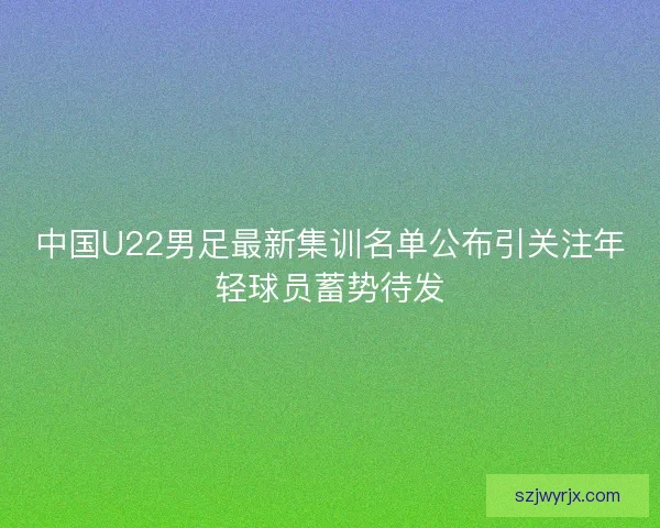 中国U22男足最新集训名单公布引关注年轻球员蓄势待发