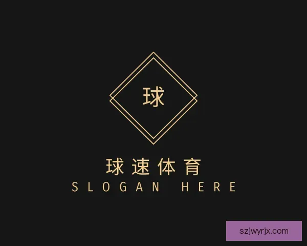 认识球速体育